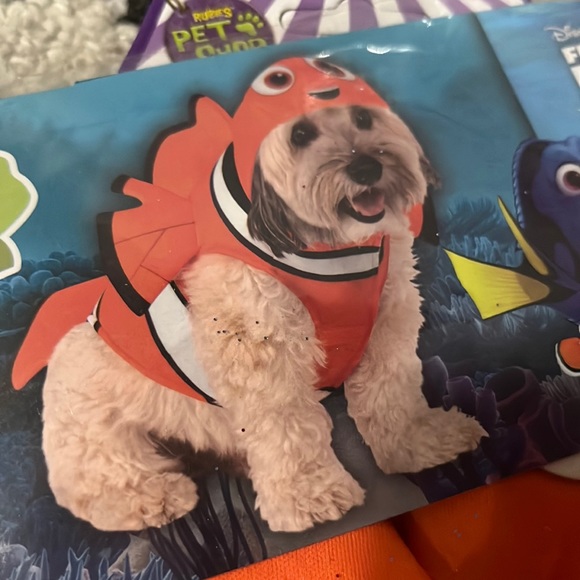 NWT Finding Nemo Costume Clownfish Dog Costume Size L - Picture 3 of 8